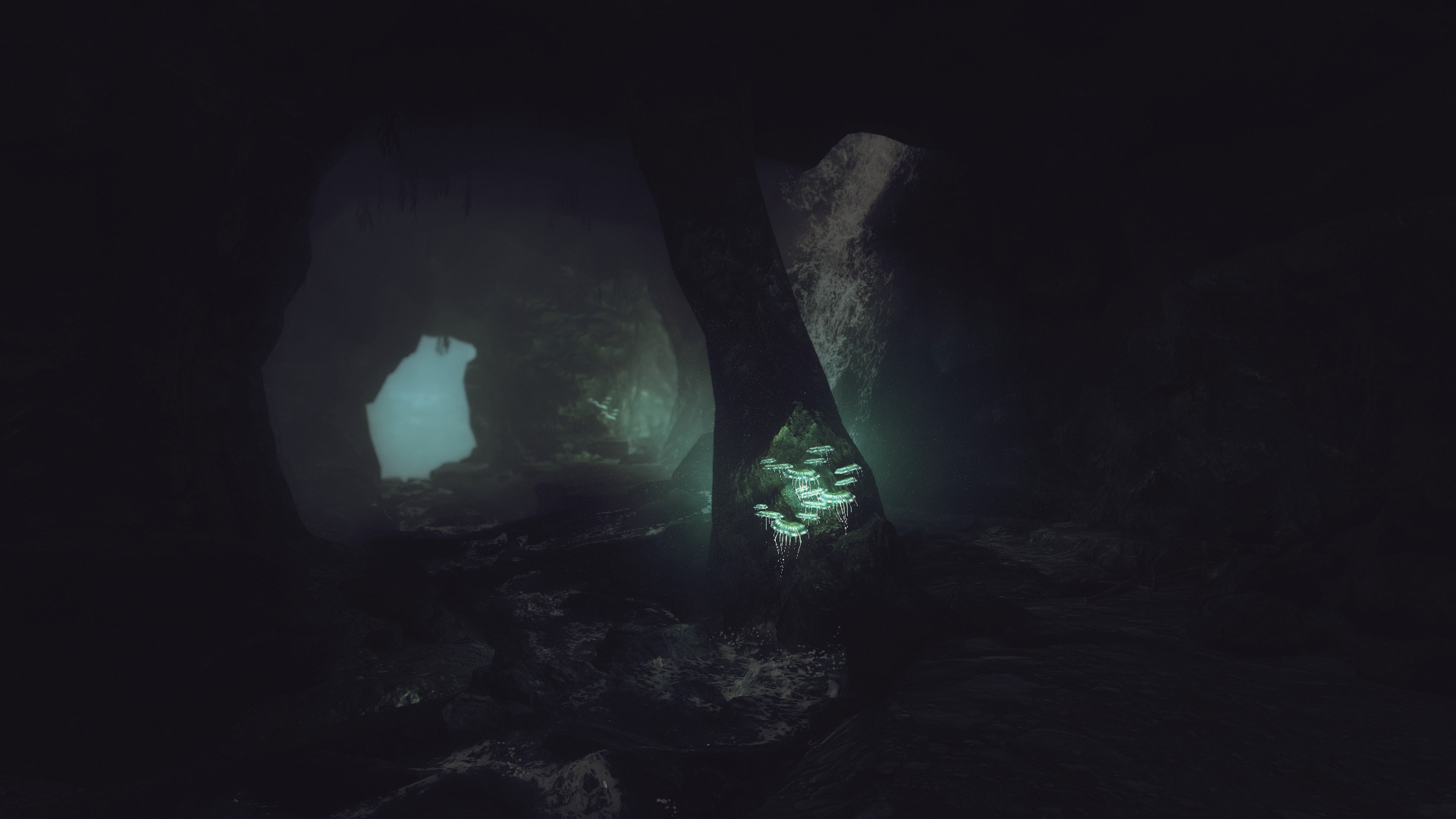 The Elder Scrolls V: Skyrim, Video games, Cave Wallpaper