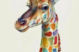 digital art, Animals, Simple background, Illustration, Giraffes, Colorful