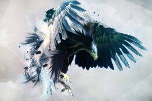 artwork, Simple background, Eagle, Birds, Painting