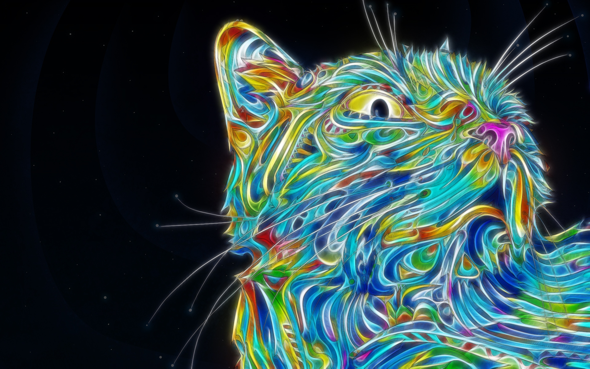 cat, Colorful, Matei Apostolescu, Psychedelic, Fractalius Wallpaper