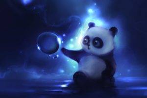 panda, Artwork