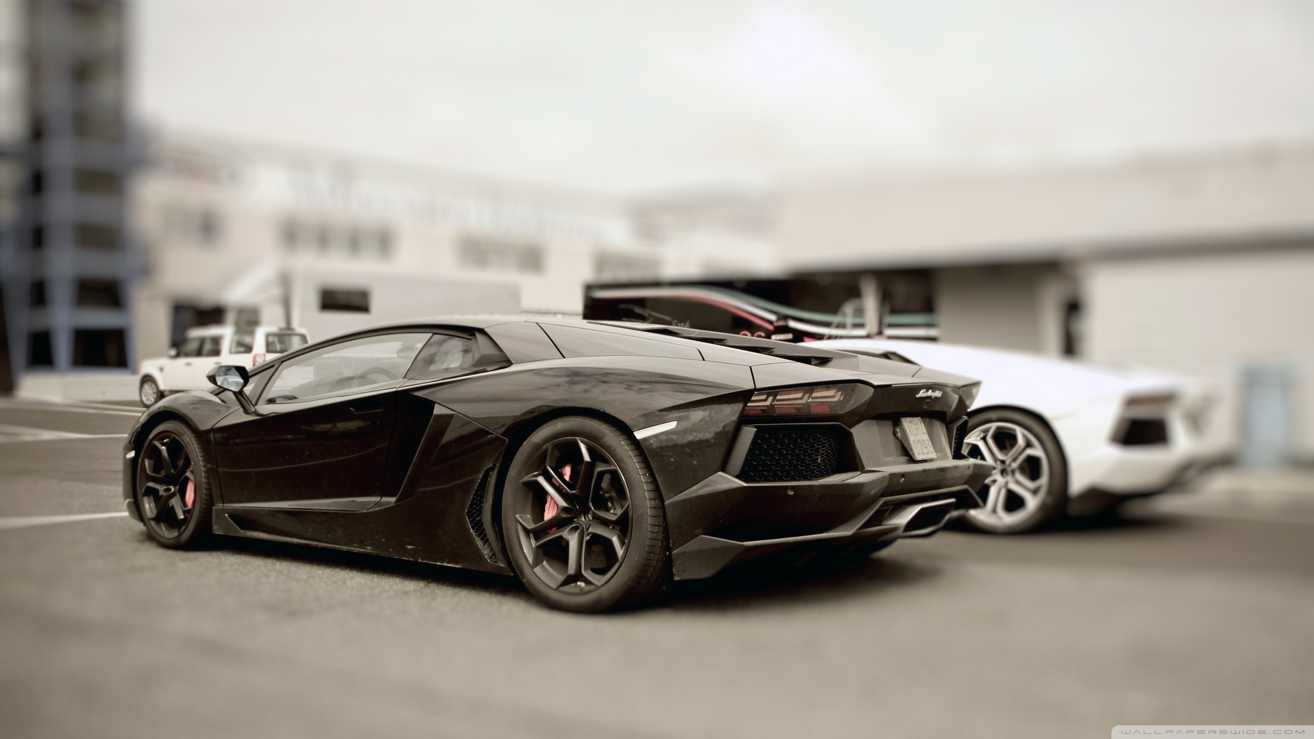 vehicle, Car, Lamborghini Wallpaper