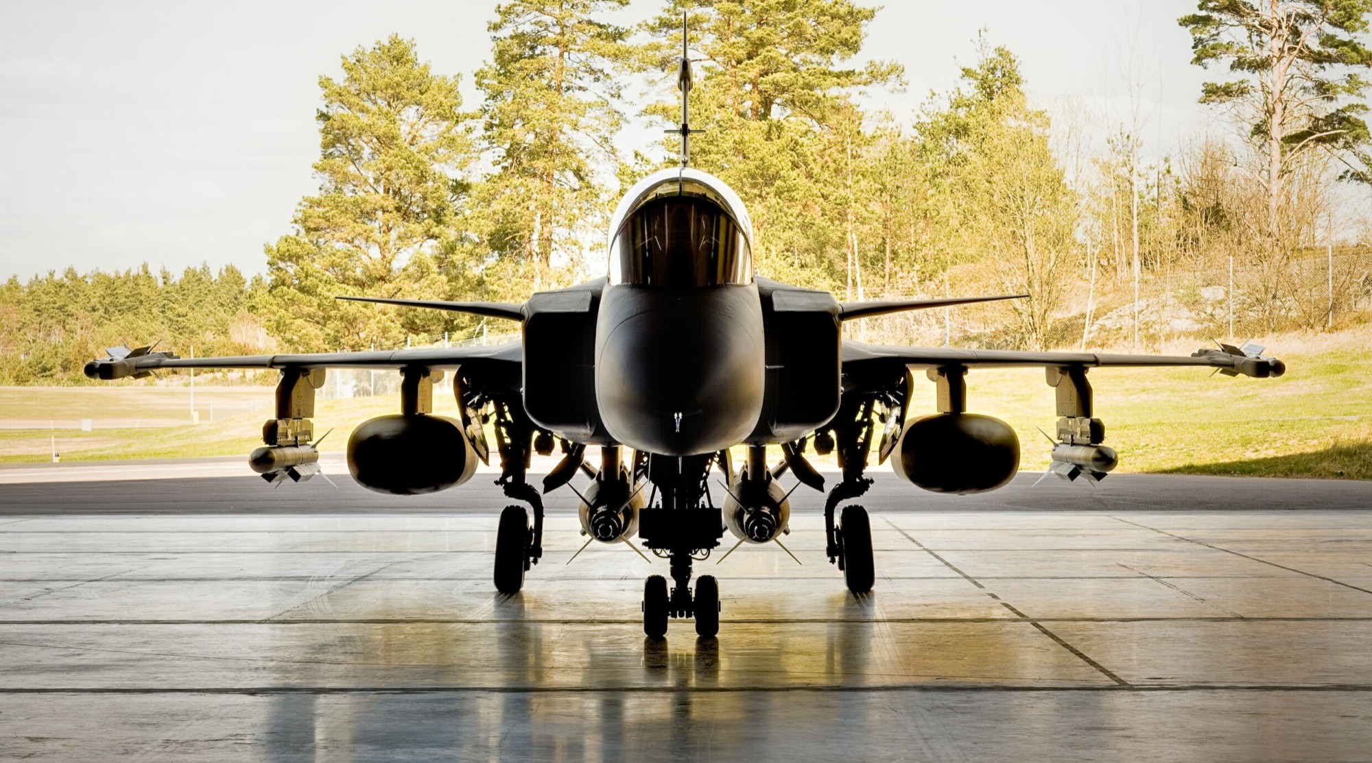 vehicle, Airplane, Jet fighter, JAS 39 Gripen Wallpaper