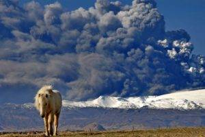 National Geographic, Volcano, Ash, Iceland, Horse