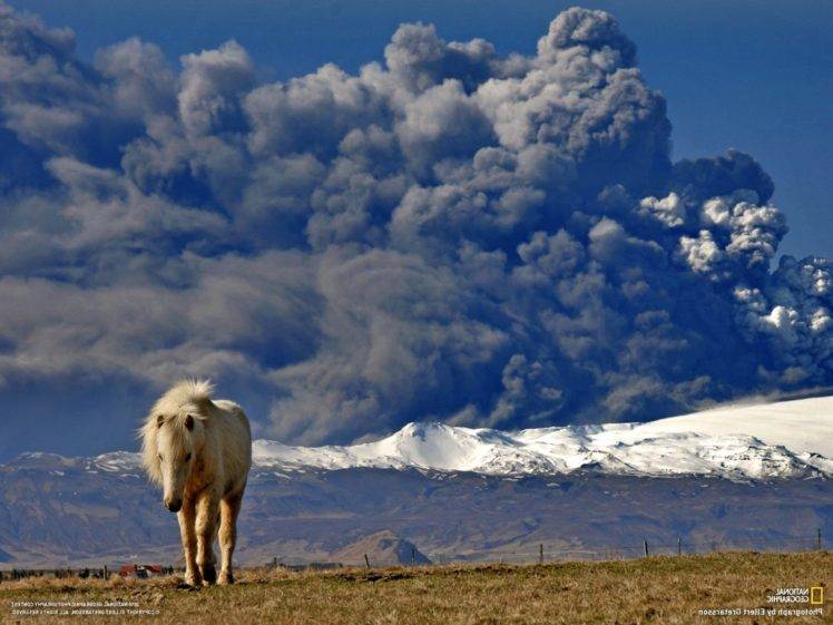 National Geographic, Volcano, Ash, Iceland, Horse HD Wallpaper Desktop Background