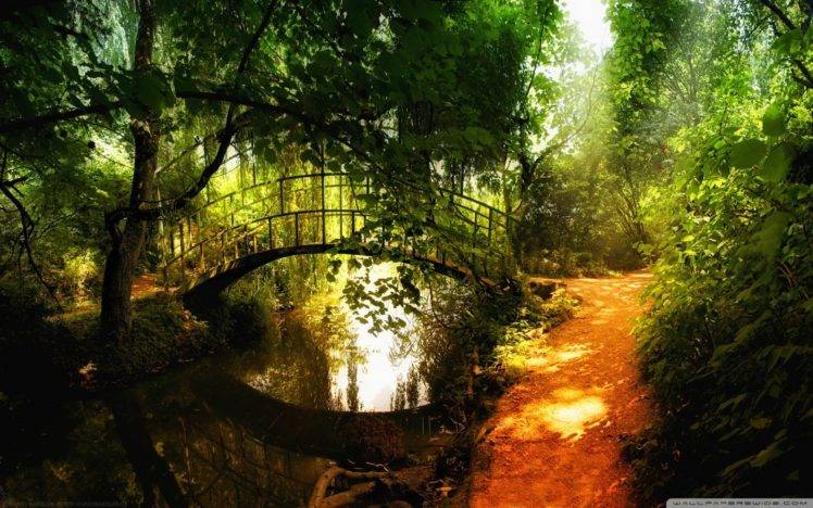 landscape, Nature, Water, Bridge, Trees HD Wallpaper Desktop Background