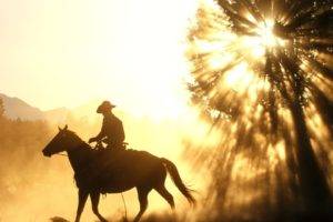 men, Cowboys, Horse