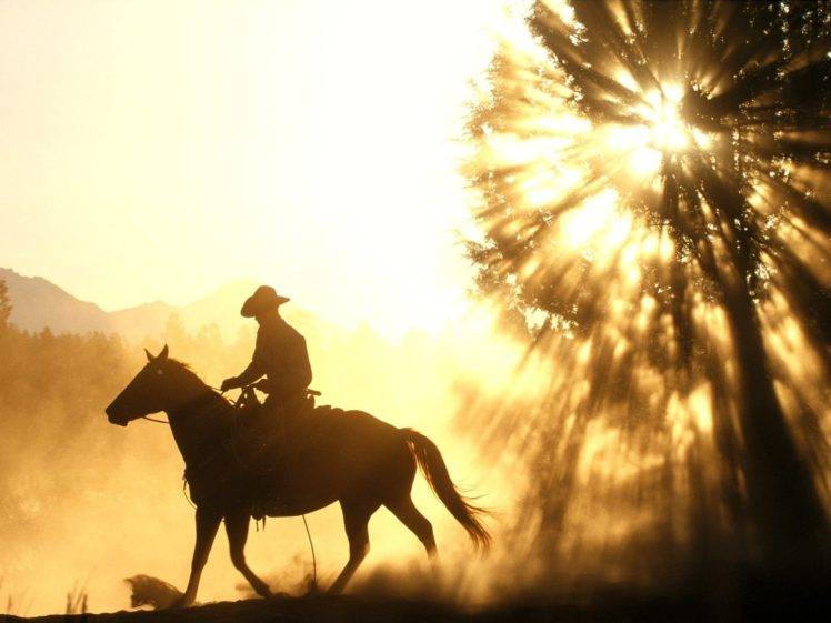 men, Cowboys, Horse HD Wallpaper Desktop Background