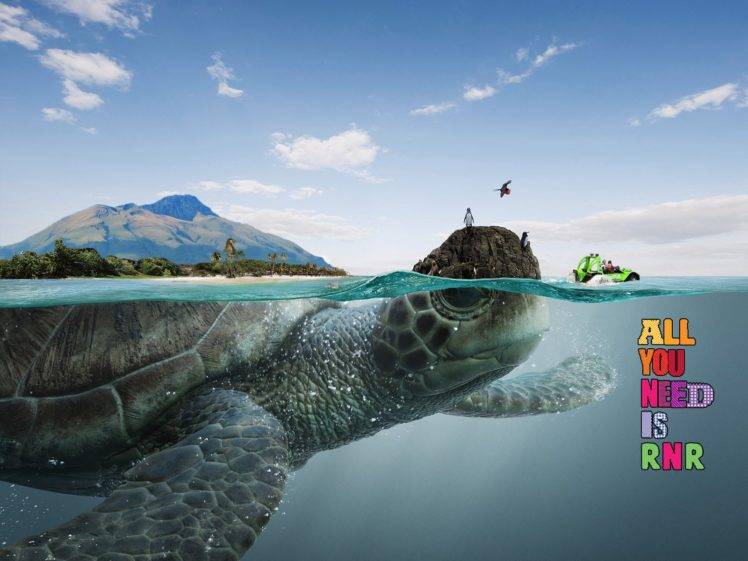 turtle, Split view, Sea, Photo manipulation HD Wallpaper Desktop Background