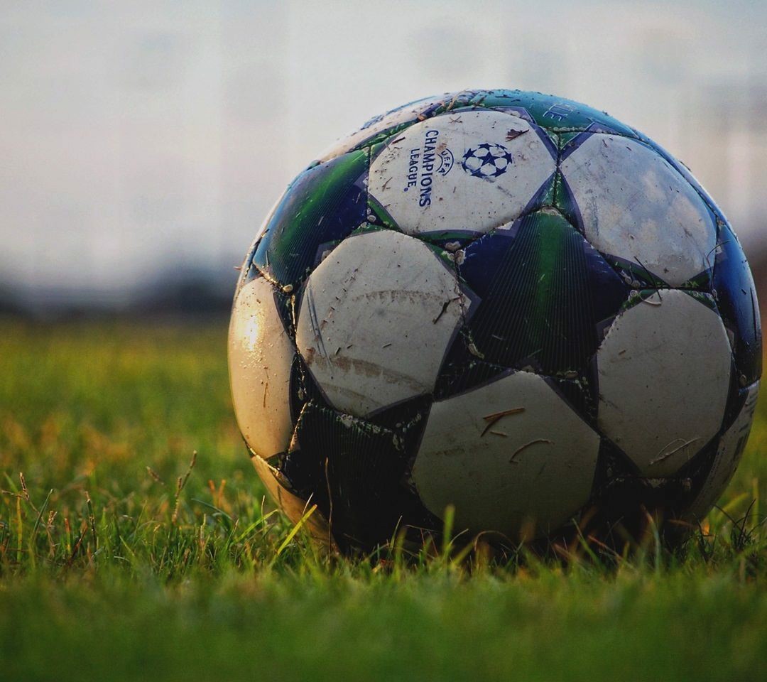 soccer, Ball, Grass Wallpaper