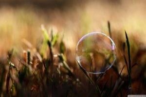 bubbles, Blurred, Plants