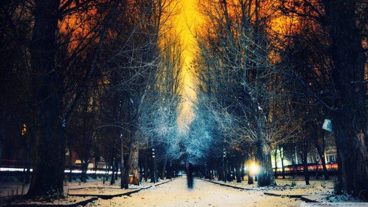 road, Snow, Winter, Trees, Sunset, Dead trees, Long exposure, Evening HD Wallpaper Desktop Background