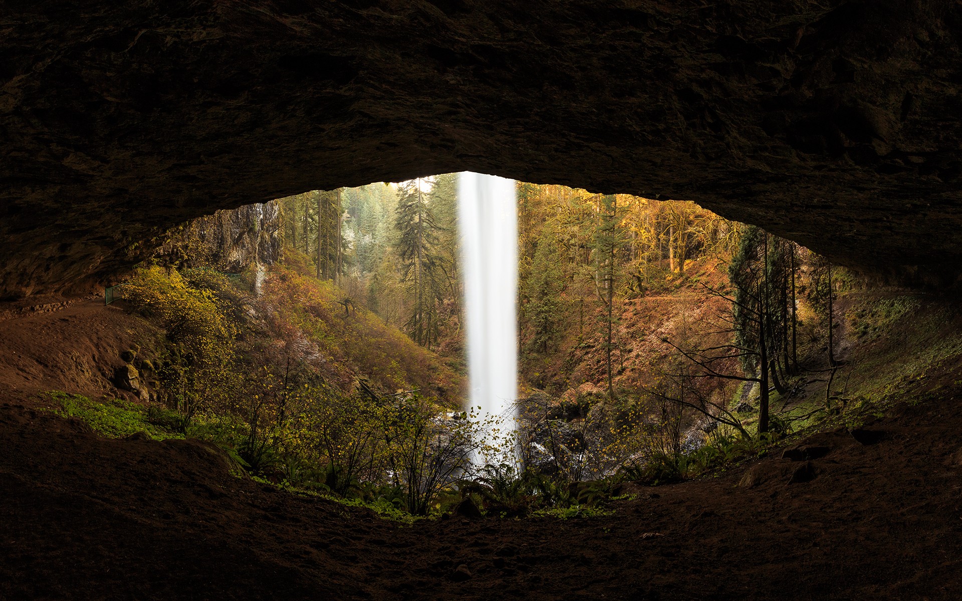 waterfall, Forest, Cave Wallpaper