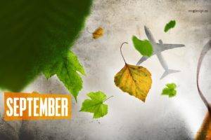 leaves, Forest, Fall, September, Aircraft, Passenger aircraft, Calendar