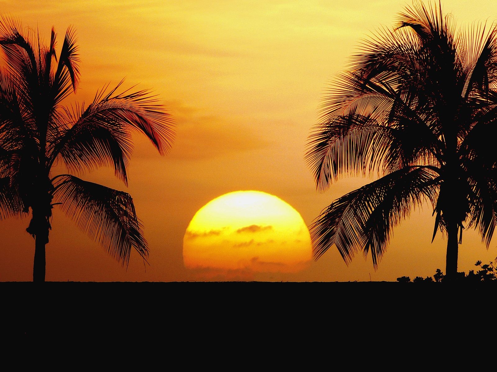 sunset Wallpaper