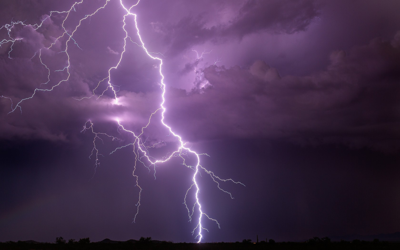 Петуния lightning sky фото