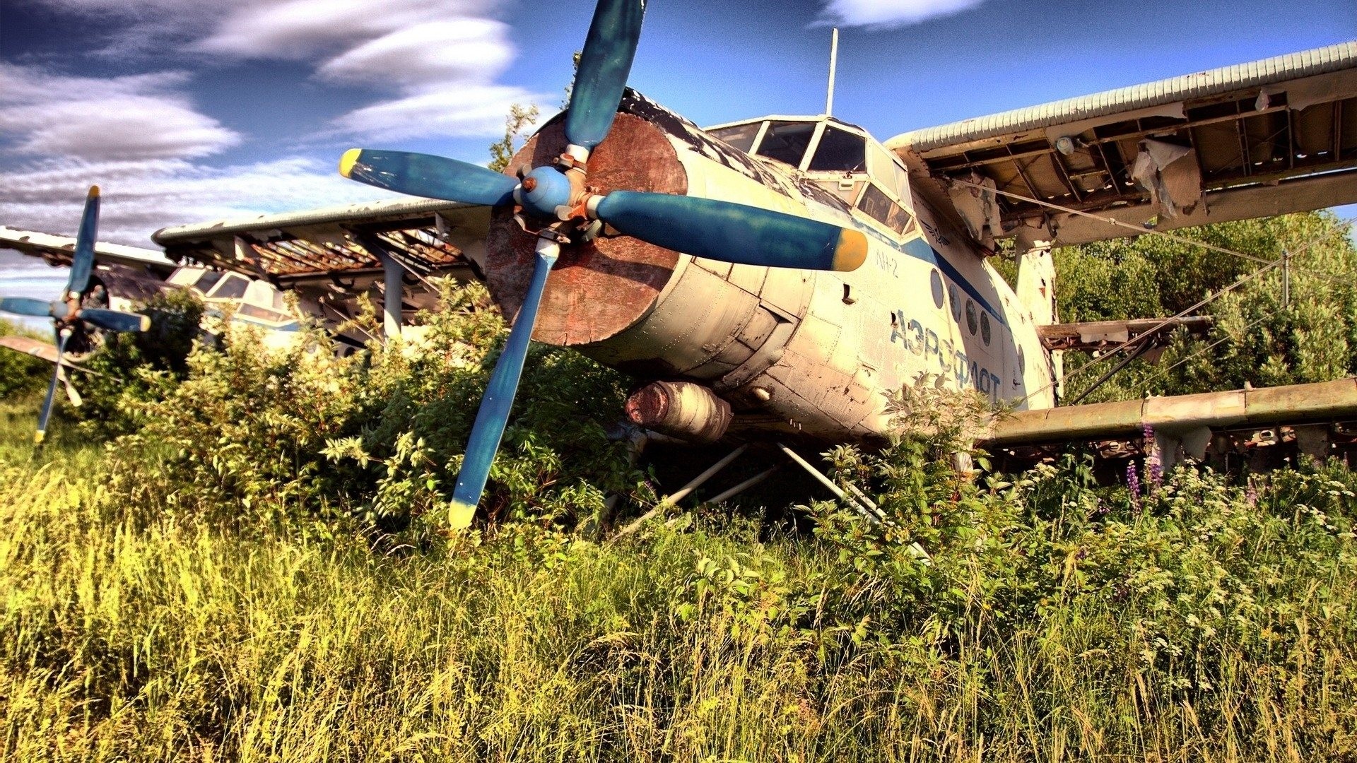 wreck, Airplane, Vehicle, An 2 Wallpaper