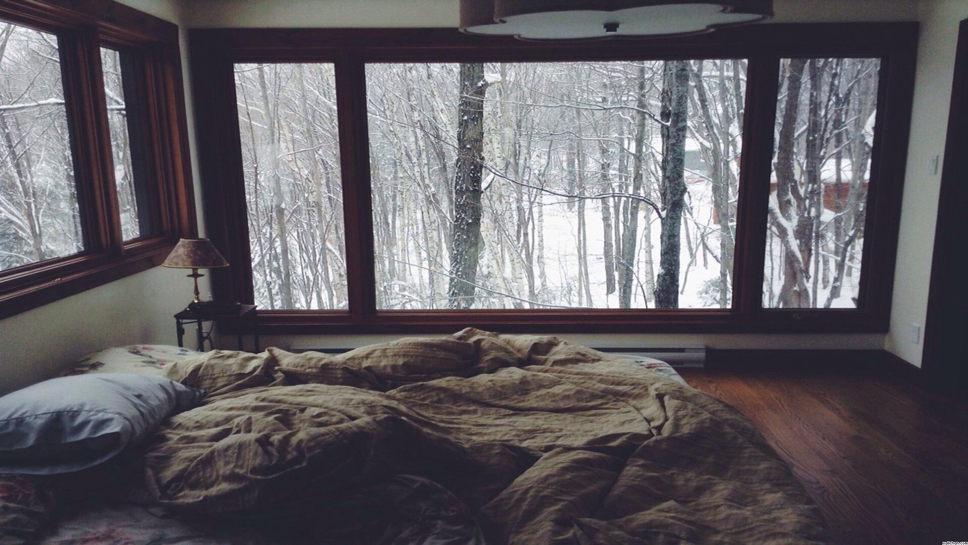 forest, Winter, Window, Pillow, Room Wallpaper