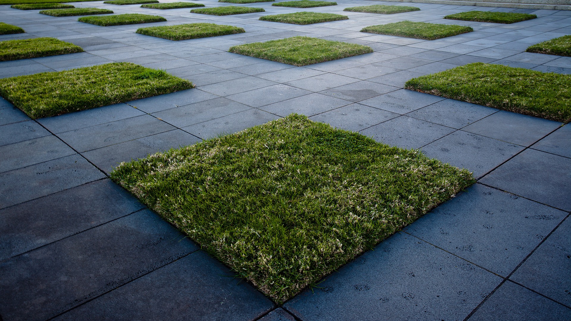 grass, Sidewalks Wallpaper