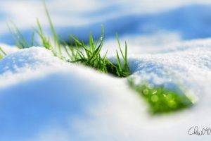 snow, Grass
