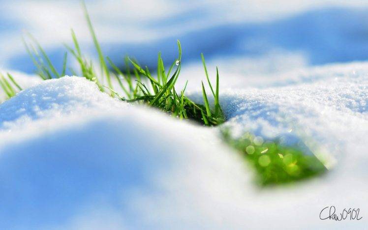 snow, Grass HD Wallpaper Desktop Background