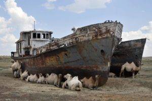 wreck, Vehicle, Ship, Camels