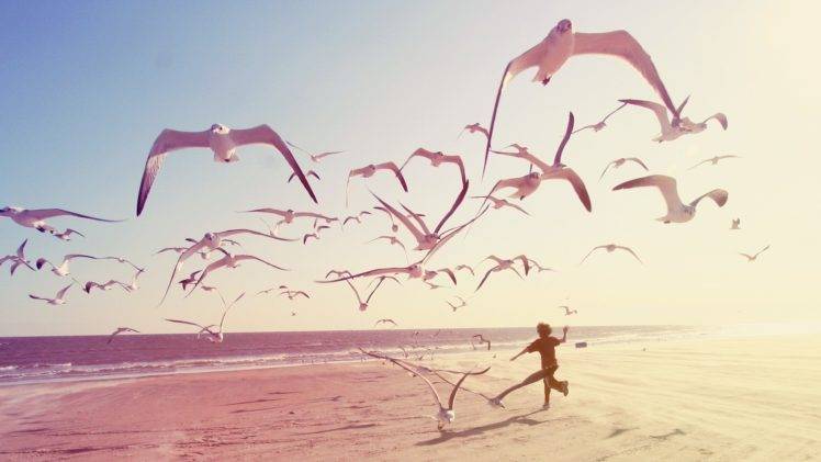 beach, Seagulls, Children, Photography HD Wallpaper Desktop Background