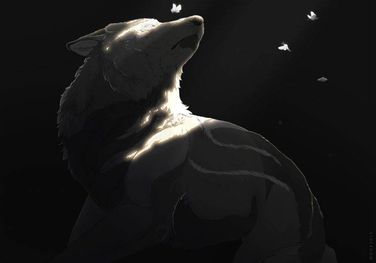 wolf, Winter, Painting HD Wallpaper Desktop Background