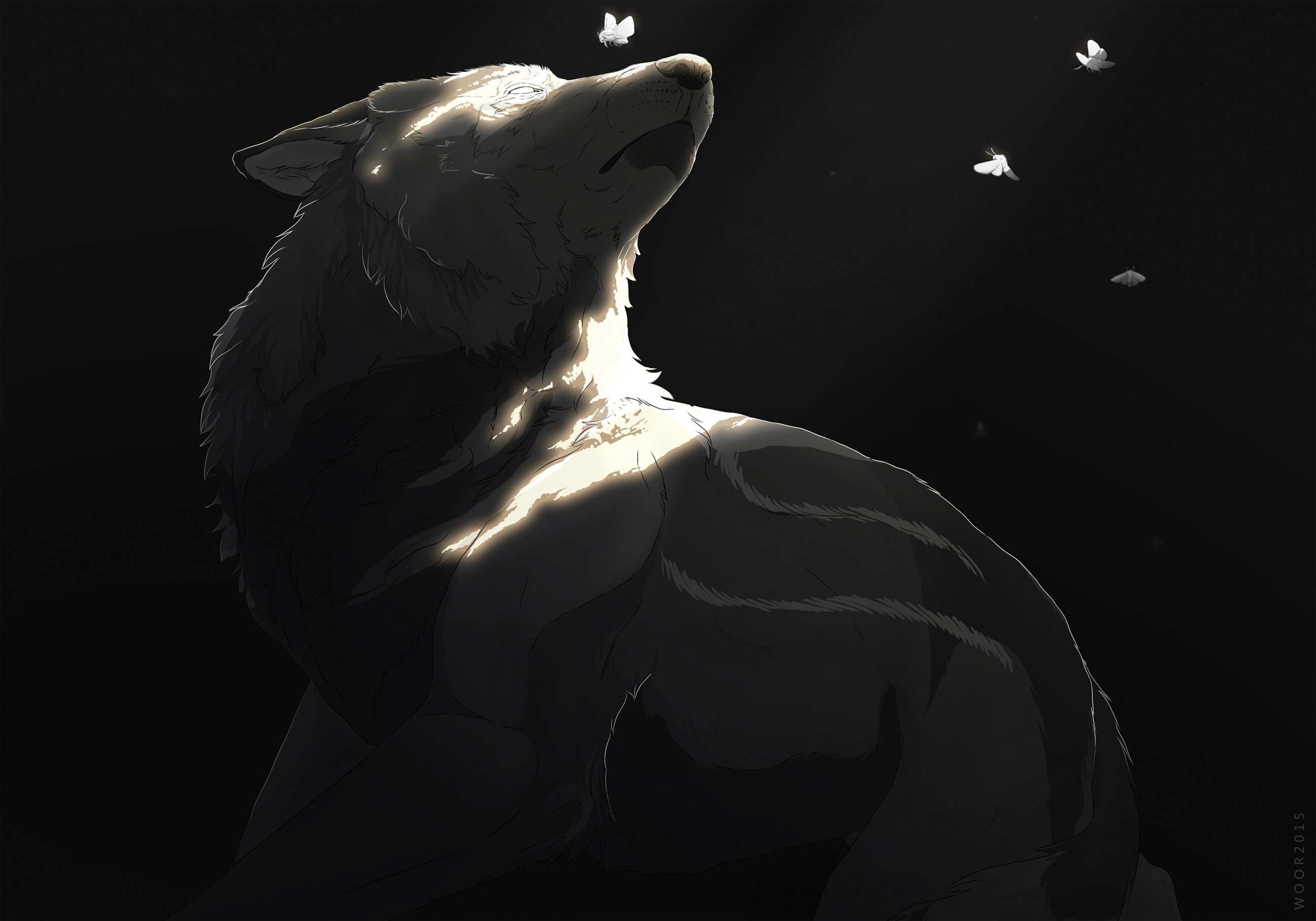 wolf, Winter, Painting Wallpaper