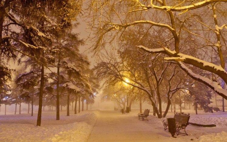 trees, Road, Snow, Winter HD Wallpaper Desktop Background