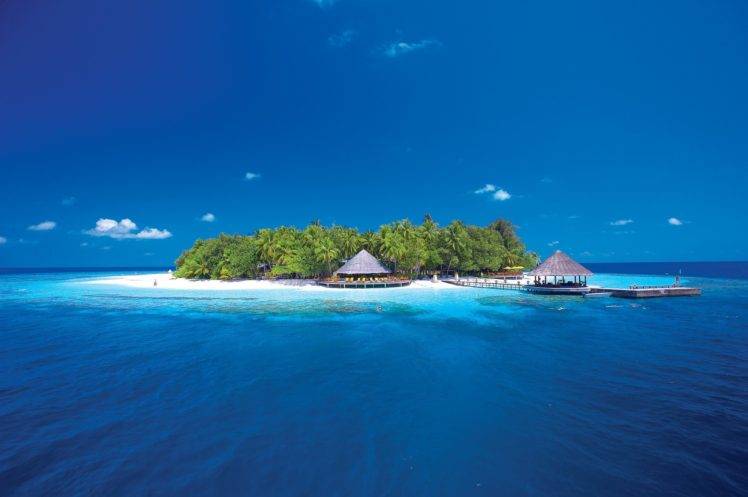 coral, Bungalow, Island, Palm trees, Pier HD Wallpaper Desktop Background