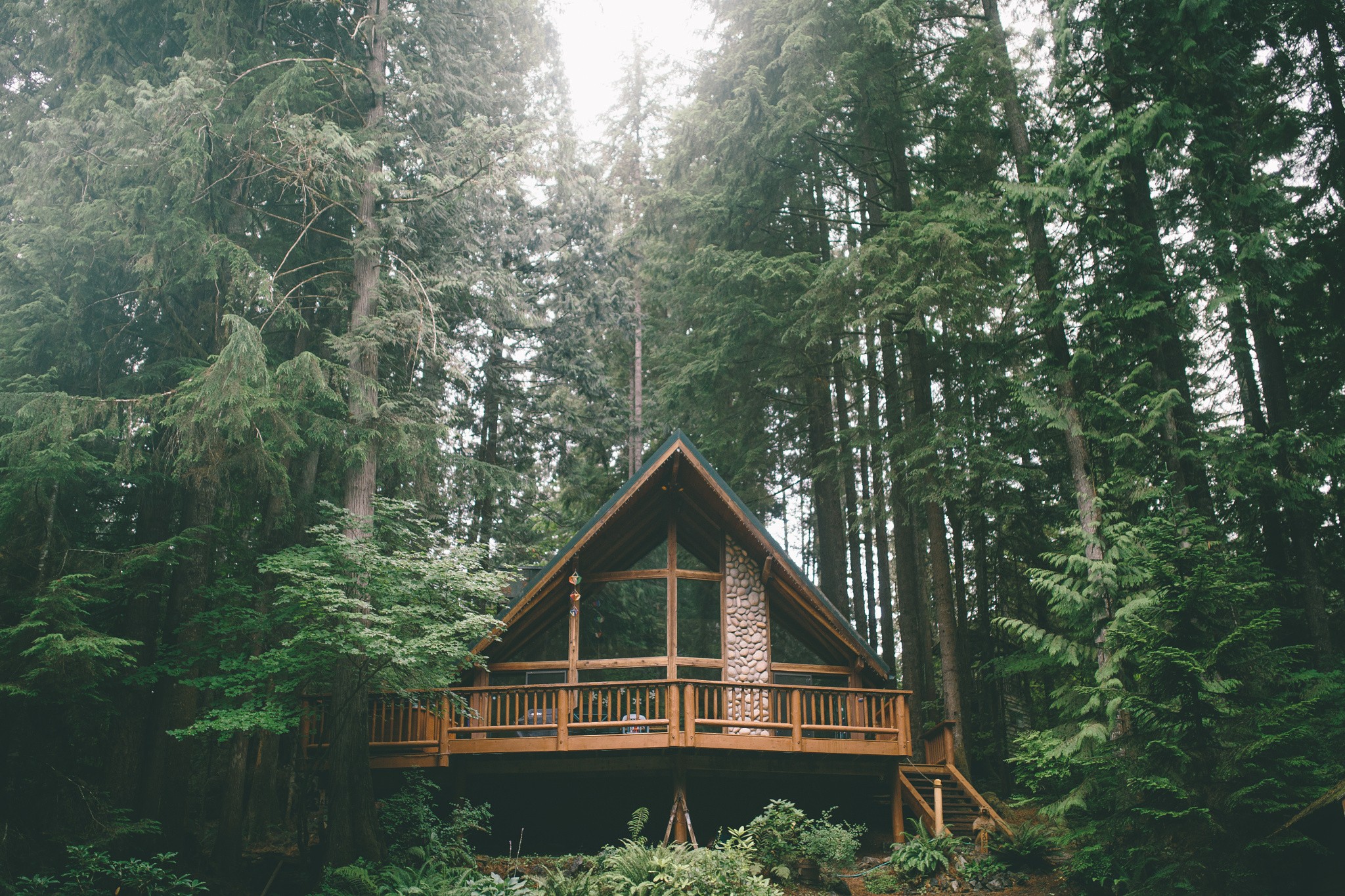 forest, Trees, House, Vacations Wallpaper