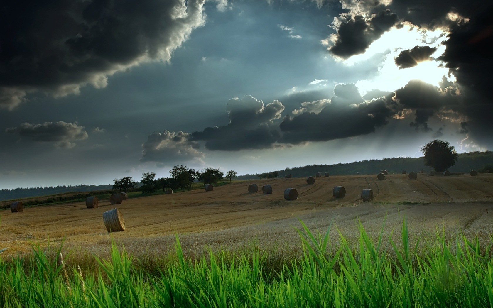 landscape Wallpaper