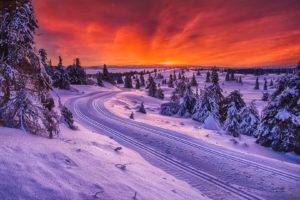 snow, Trees, Road, Sunset
