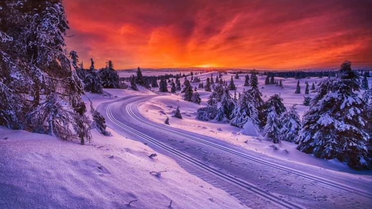 snow, Trees, Road, Sunset HD Wallpaper Desktop Background