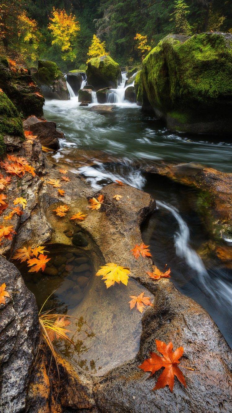 landscape, Waterfall, Leaves HD Wallpaper Desktop Background