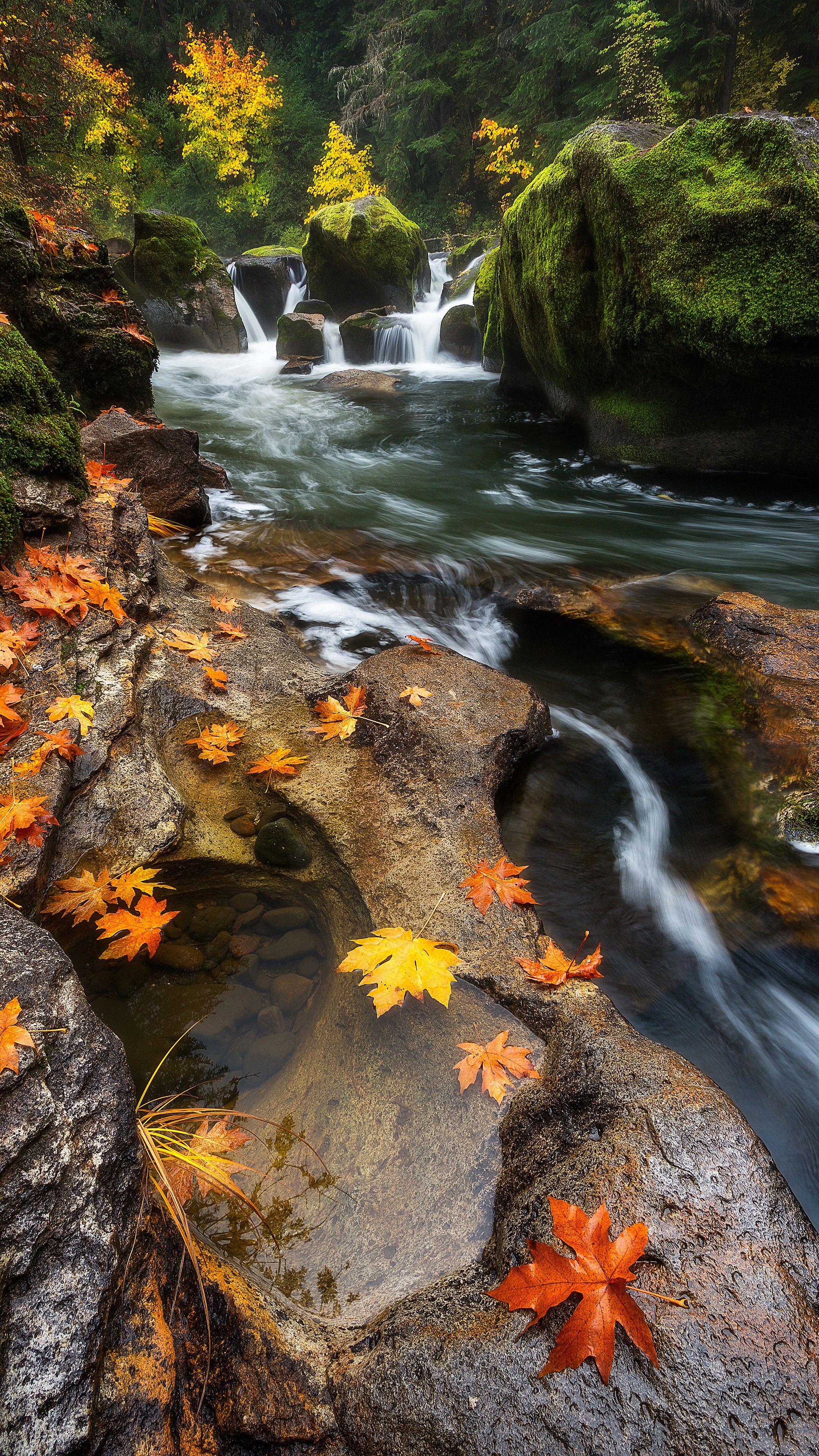landscape, Waterfall, Leaves Wallpaper