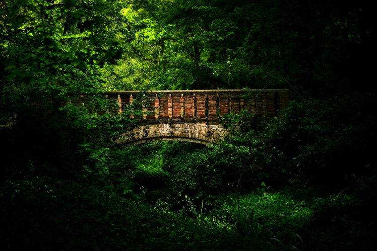forest, Bridge HD Wallpaper Desktop Background