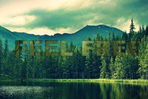 forest, Freedom, Text