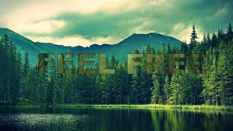 forest, Freedom, Text HD Wallpaper Desktop Background