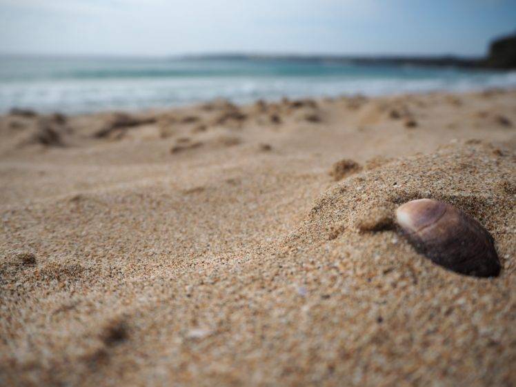 beach, Depth of field HD Wallpaper Desktop Background