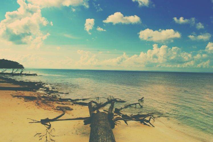 beach, Sea, Sky, Trees HD Wallpaper Desktop Background