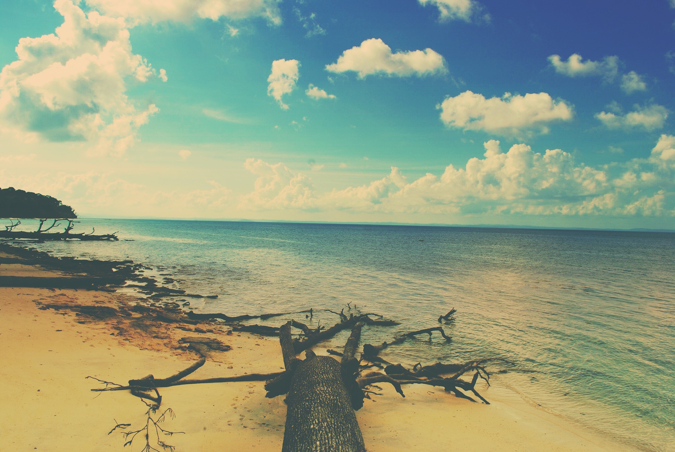 beach, Sea, Sky, Trees Wallpaper
