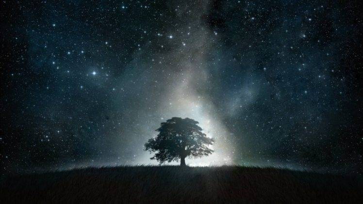 stars, Space, Grass, Trees, Hills, Lights, Sky HD Wallpaper Desktop Background