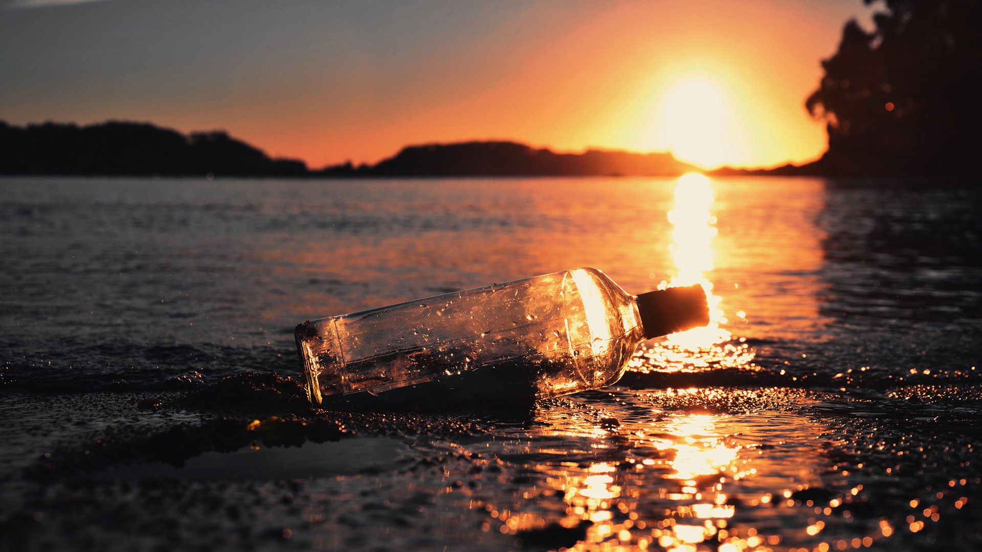 sunset Wallpaper