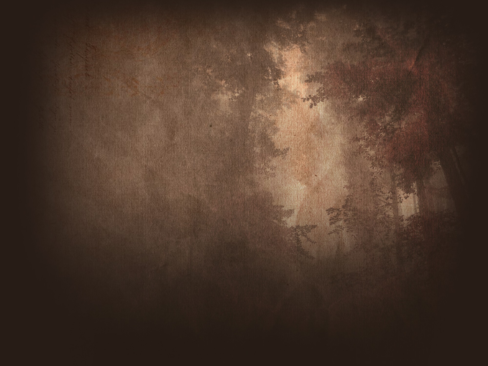 forest Wallpaper