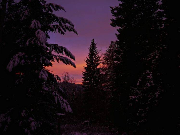 sunset, Trees, Winter HD Wallpaper Desktop Background