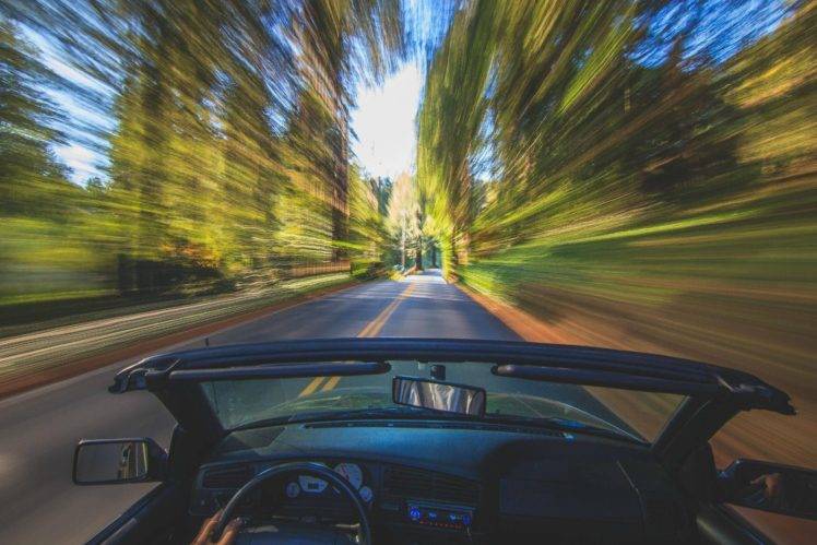 driving, Motion blur, Forest HD Wallpaper Desktop Background