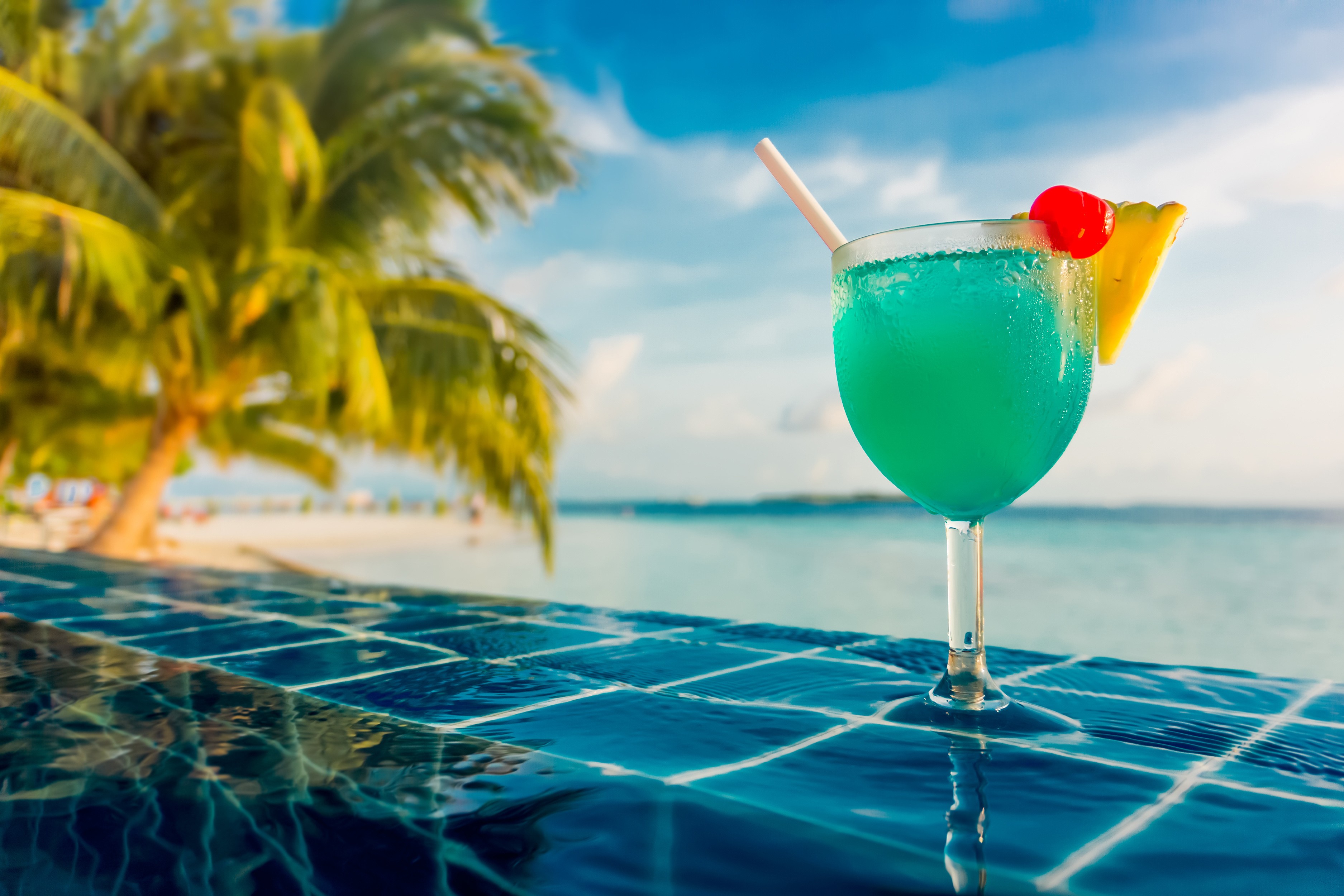 cocktails, Sea, Swimming pool, Palm trees, Tropical Wallpaper