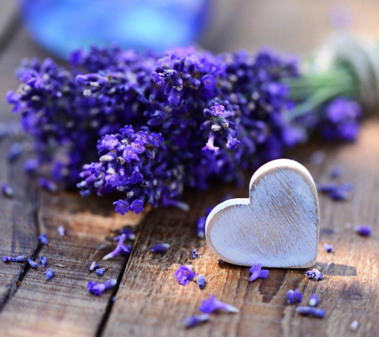 heart, Flowers, Lavender HD Wallpaper Desktop Background